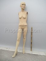 Mannequin of a woman in a clothing store