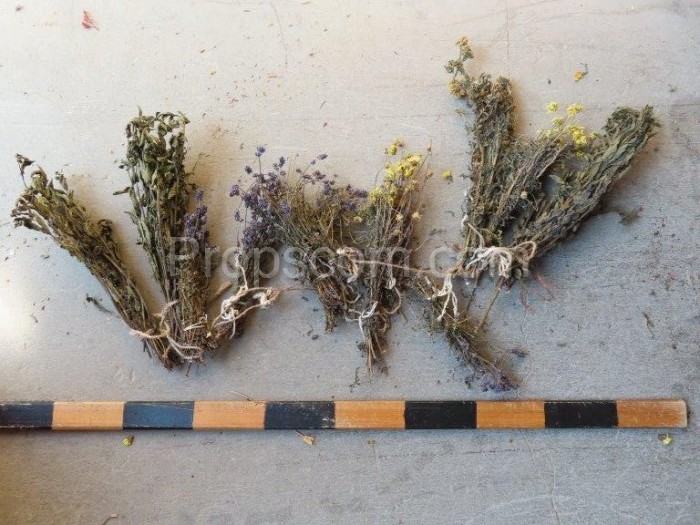 Dried flowers