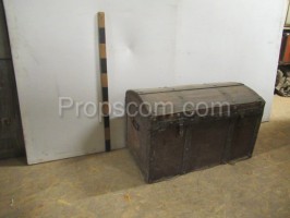 Ship's trunk