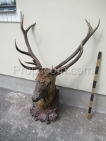 Deer - hunting trophy