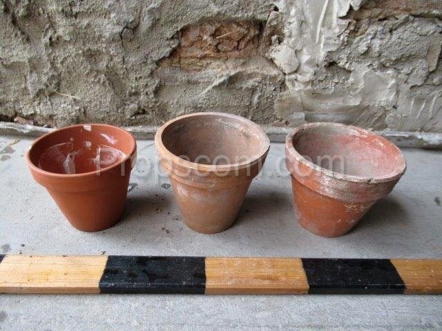 Terracotta flower pots