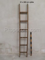 Wooden ladder