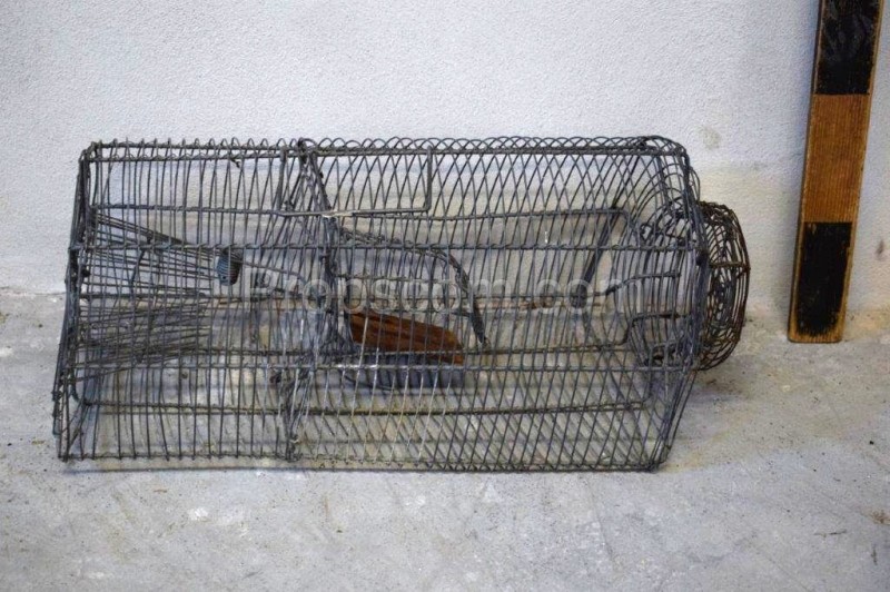 Rodent trap