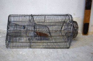 Cage trap
