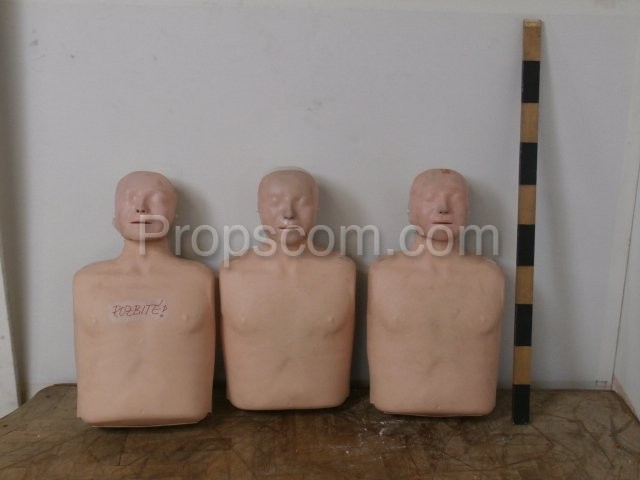 Training mannequins