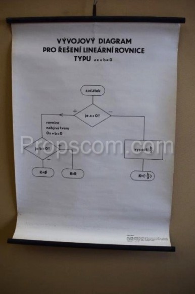 Školní plakát - Vývojový diagram 