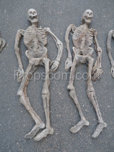 Lidské kostry - rekvizity