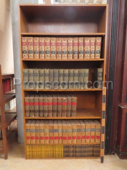 Shelves with books