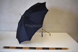 Deštník pánský