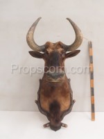 White-tailed wildebeest