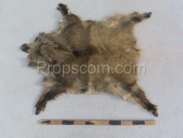 Boar fur