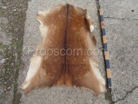 Venison skin