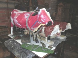 School educational model cow