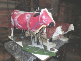 Školní výukový model kráva