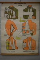 School poster - Immobilization of the arm