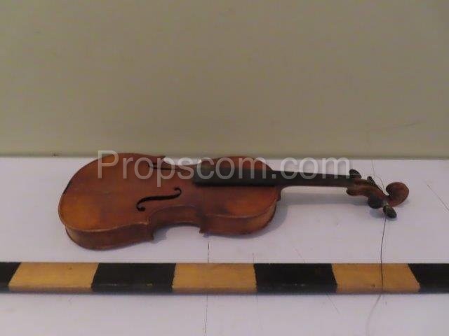 Violin