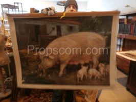 School poster - Domestic pig