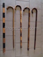 Walking sticks