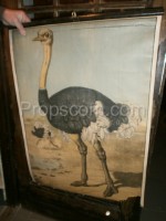 School poster - Two-toed ostrich