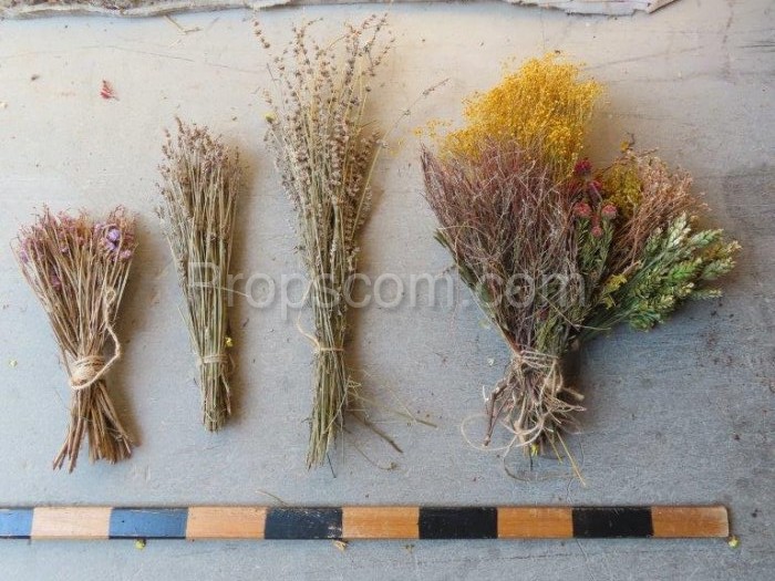 Dried flowers