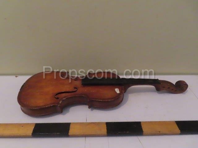 Violin