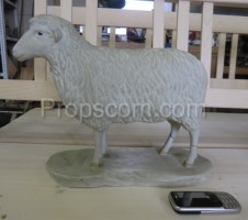 School educational model sheep