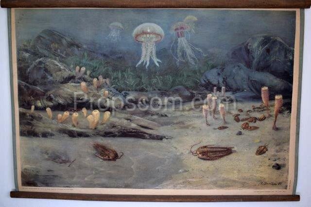 School poster - Underwater world