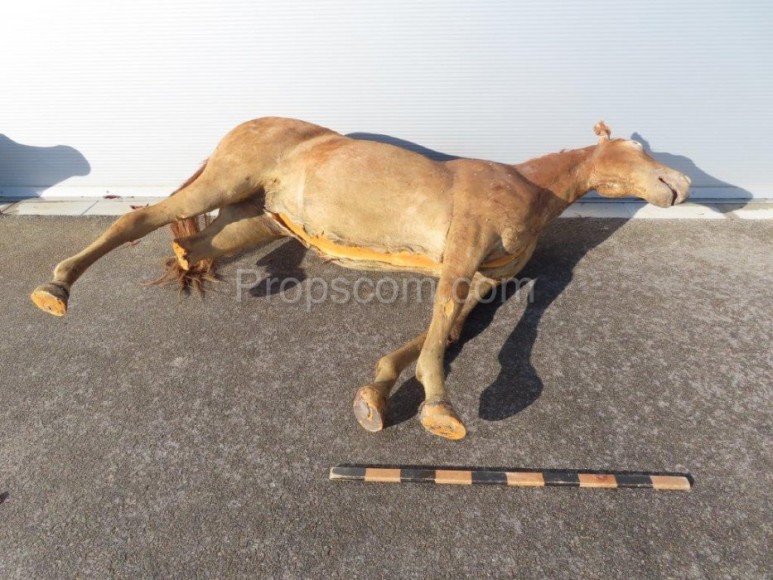 A life-size horse