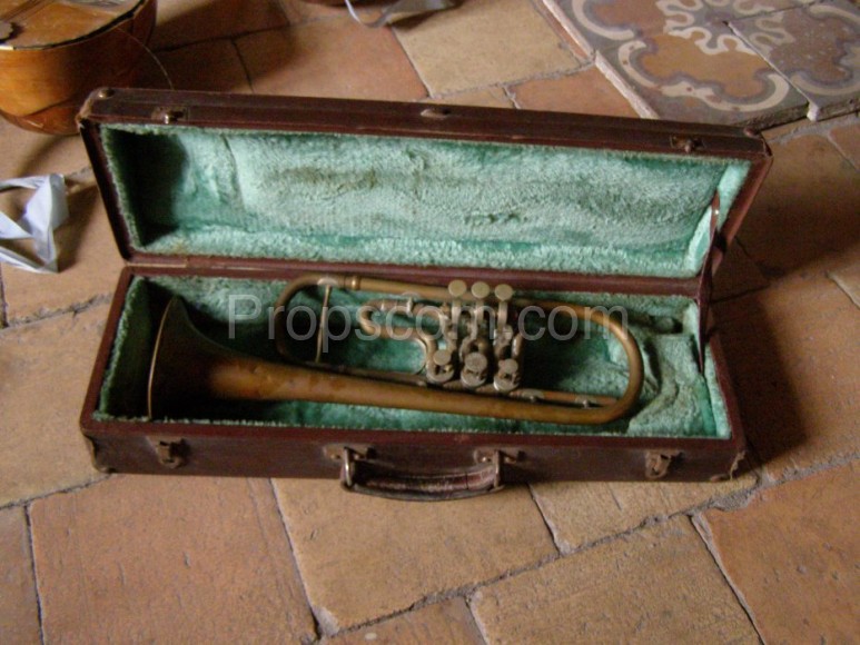 Trumpet