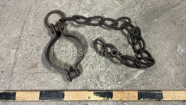 Neck shackles