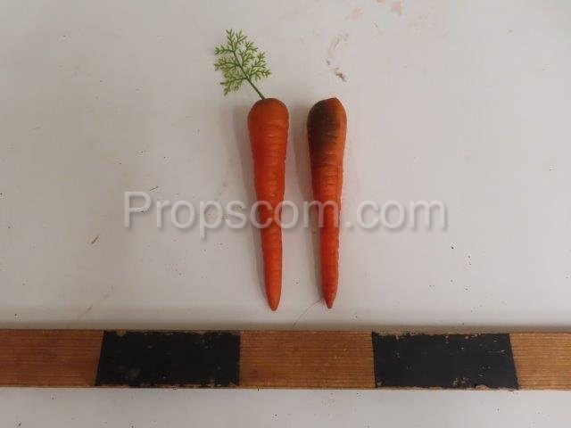 Carrot