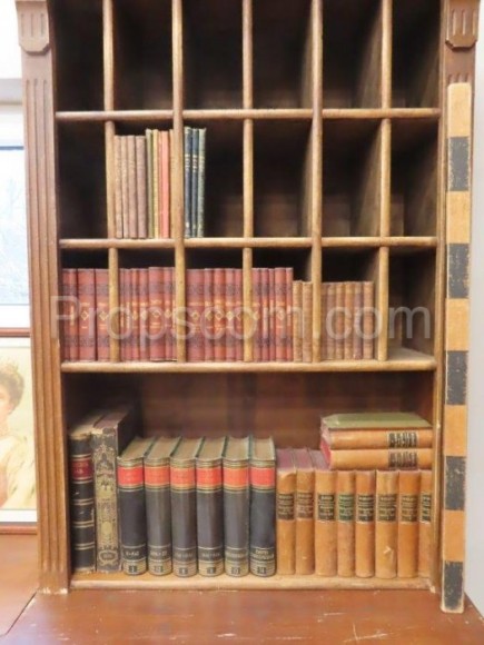 Shelves with books