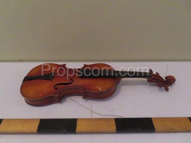 Violin