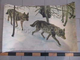 School poster - Wolves