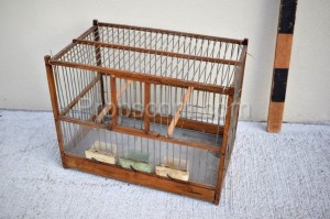 Wire cage