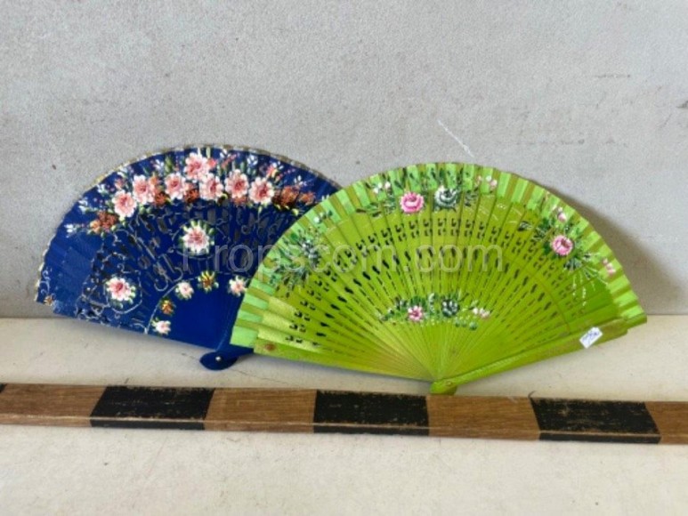 Colorful fans