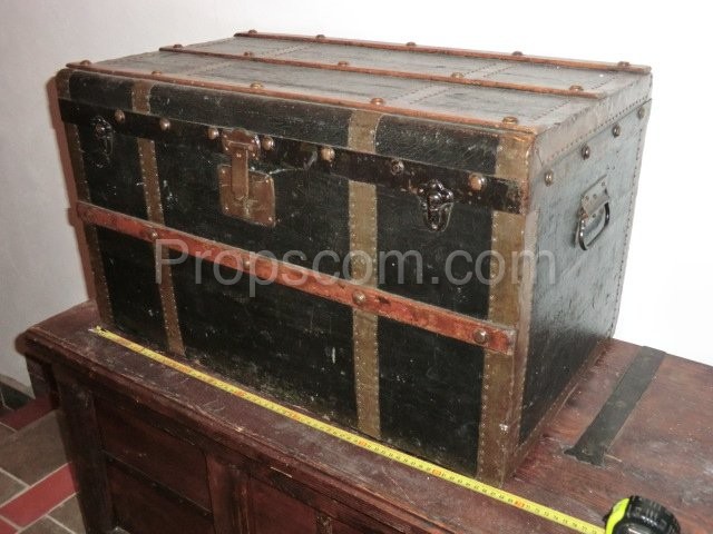 Ship's trunk