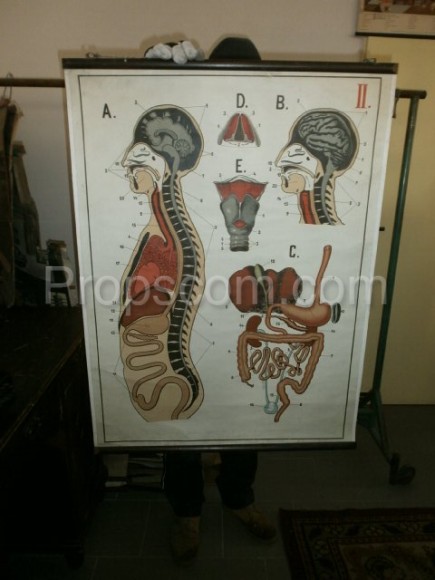 School poster - Internal system