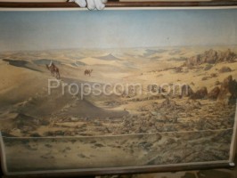 School poster - Gobi Desert