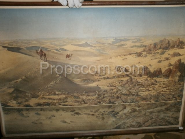 School poster - Gobi Desert