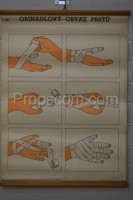 School poster - Finger bandage