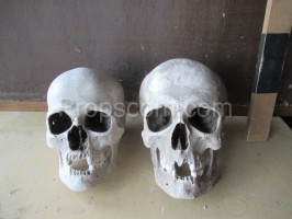 Human skulls