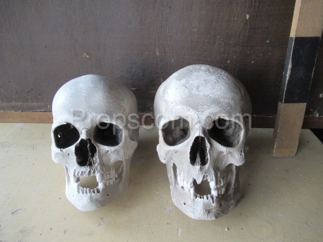 Human skulls