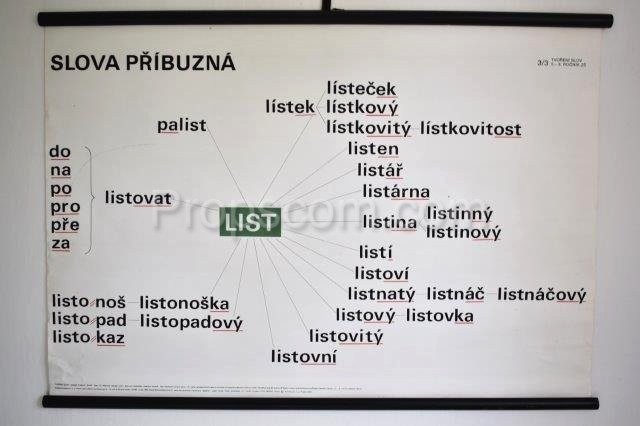 Školní plakát – Slova příbuzná