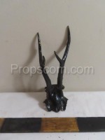 Deer - hunting trophy