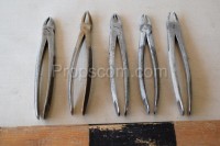 Dental forceps