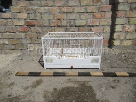 Wire cage white