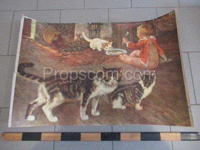 School poster - Domestic cat