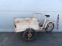 Business tricycle