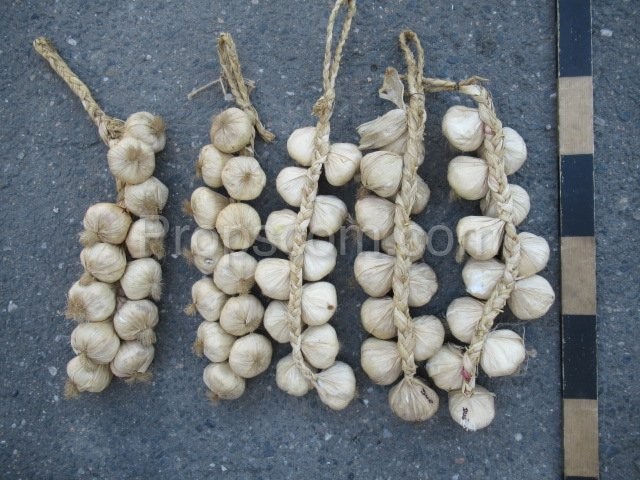 Bundles of garlic